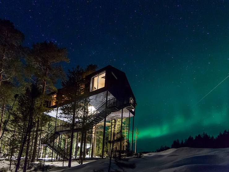 Tree Hotel