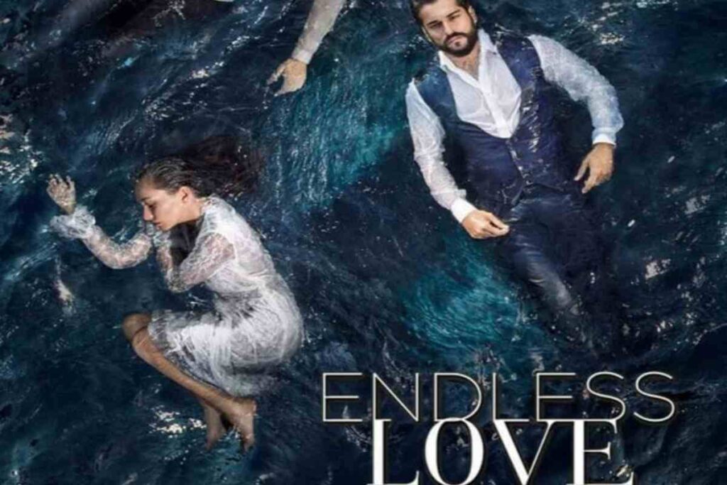 copertina endnless love