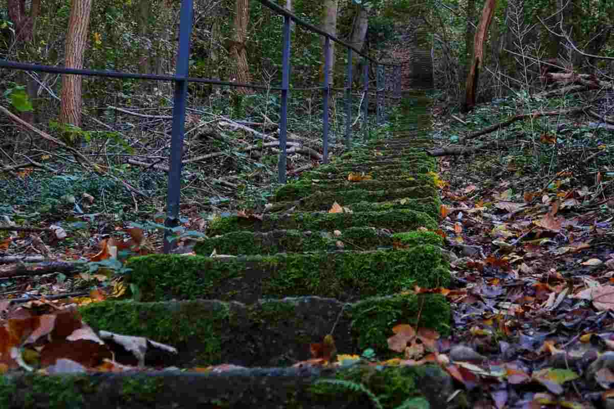 scala del paradiso dove si trova