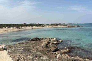 Torre Guaceto cosa vedere e fare