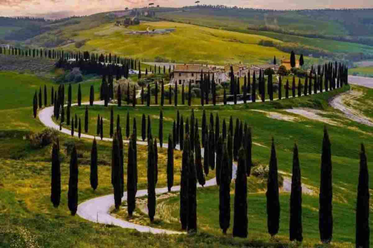 Montepulciano cosa vedere e fare