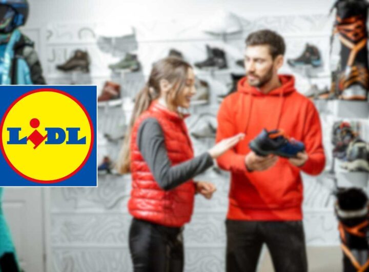 Offerta Lidl scarpe sportive